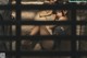 A woman laying on top of a bed covered in newspaper.